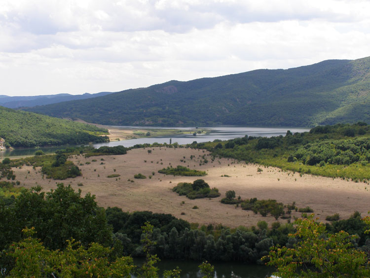 P7250010
