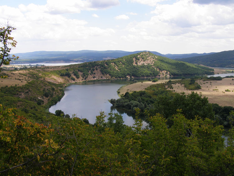 P7250011