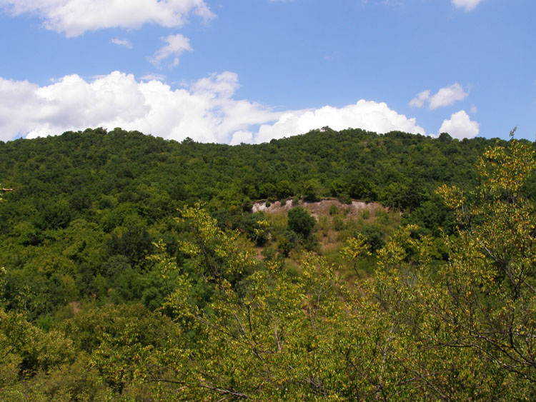 P7250014