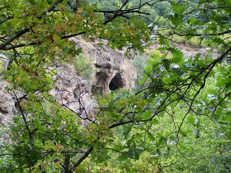 P7250017