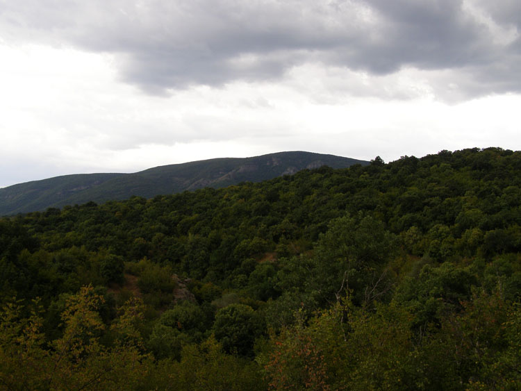 P7250018