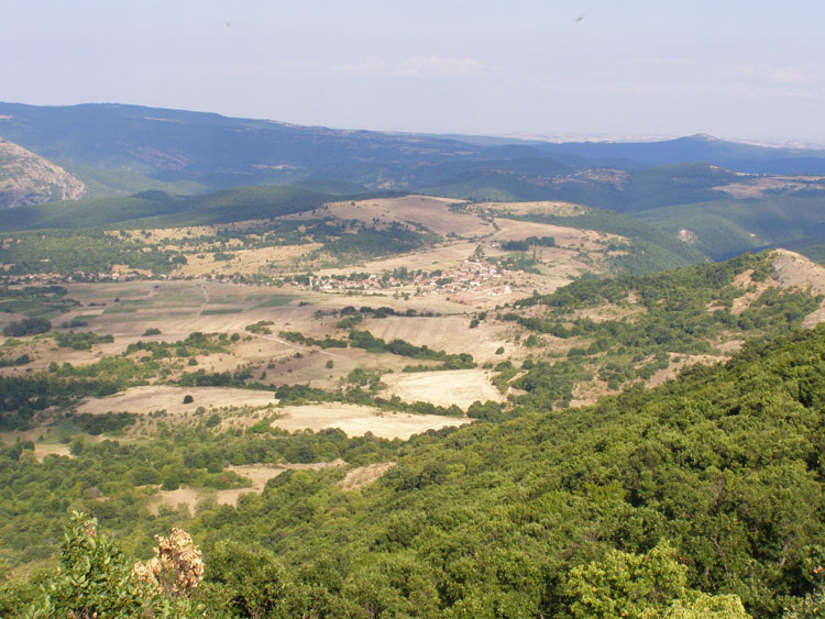 P7250025