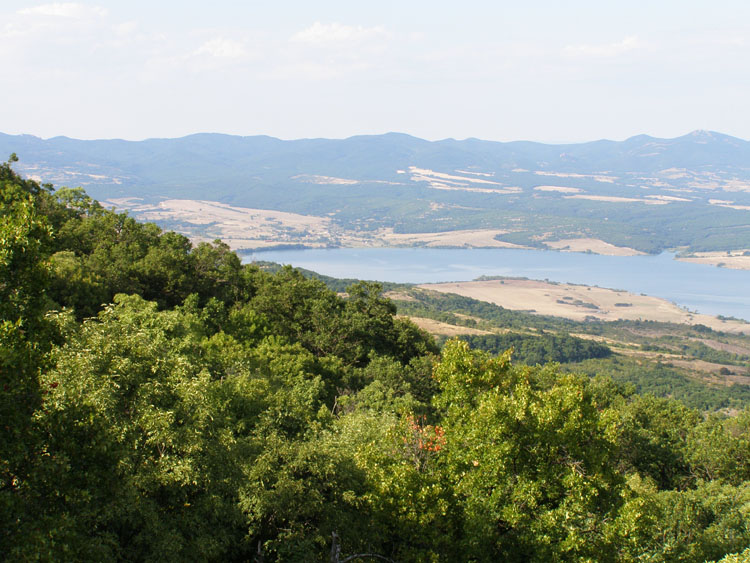P7250026