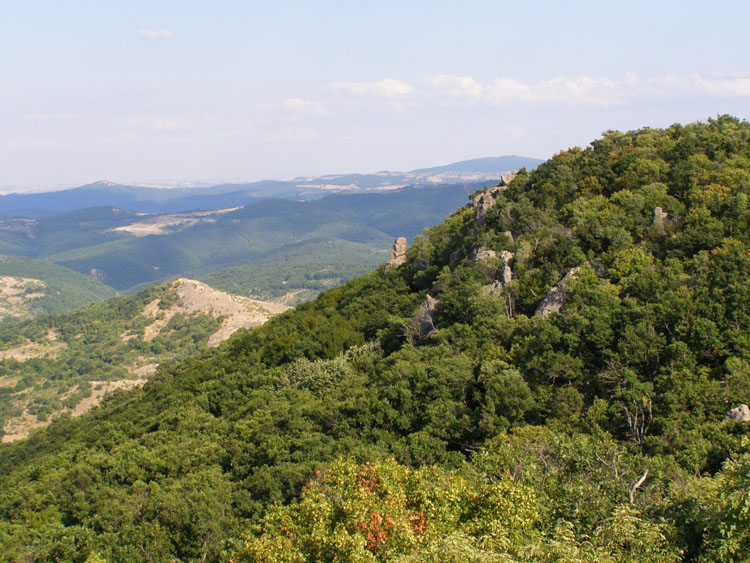P7250027