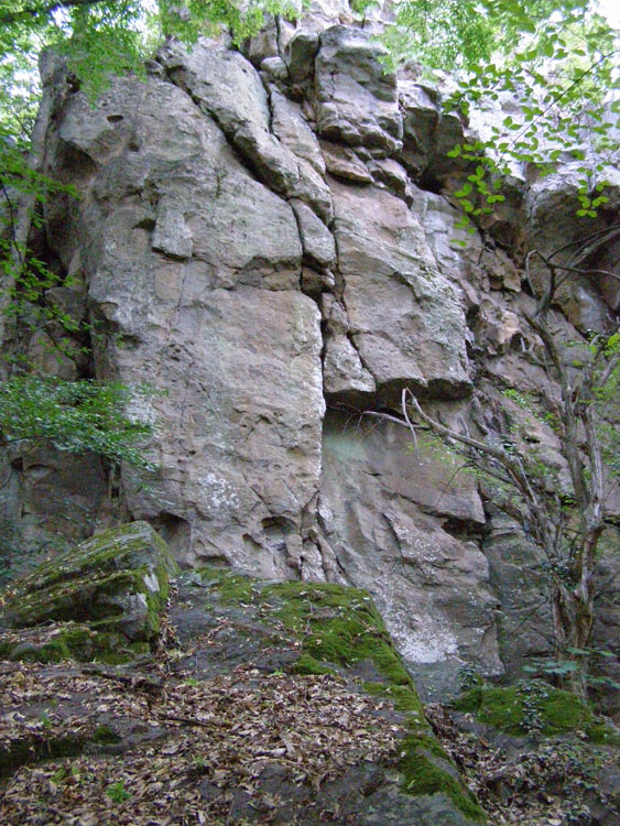 P7250035