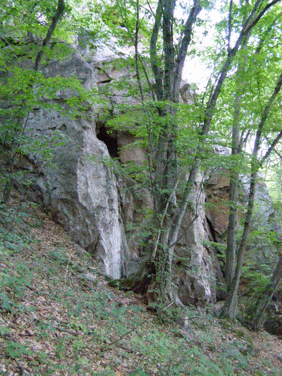 P7250036