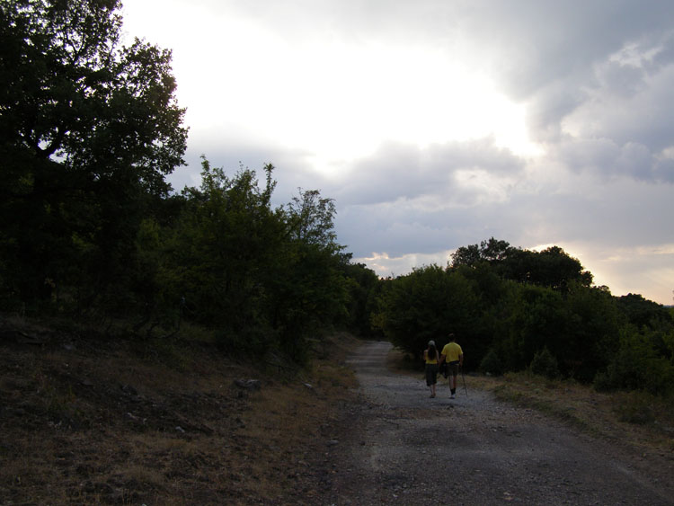 P7250037