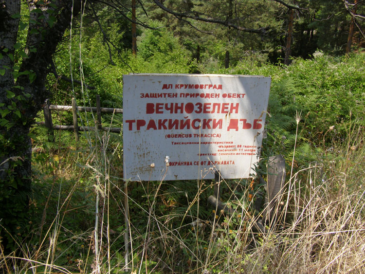 P7260001