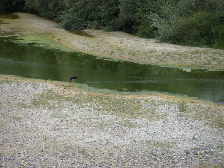 P7260005