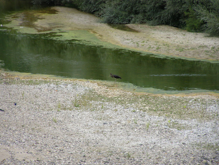 P7260006