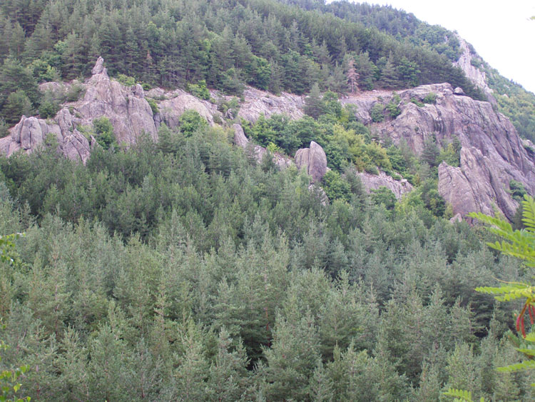 P7260008