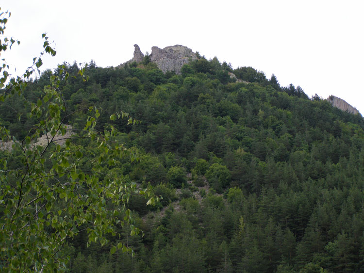 P7260009