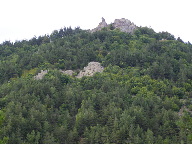 P7260010