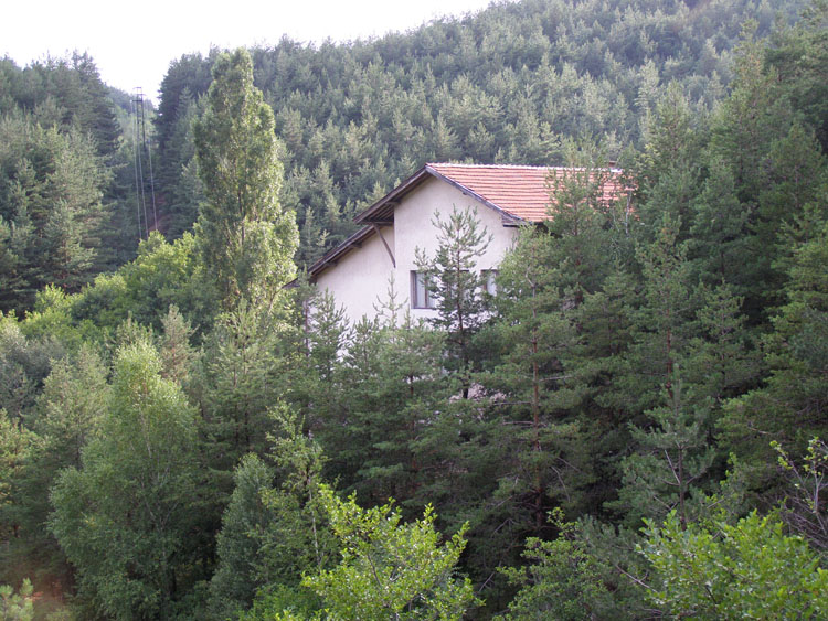 P7260044