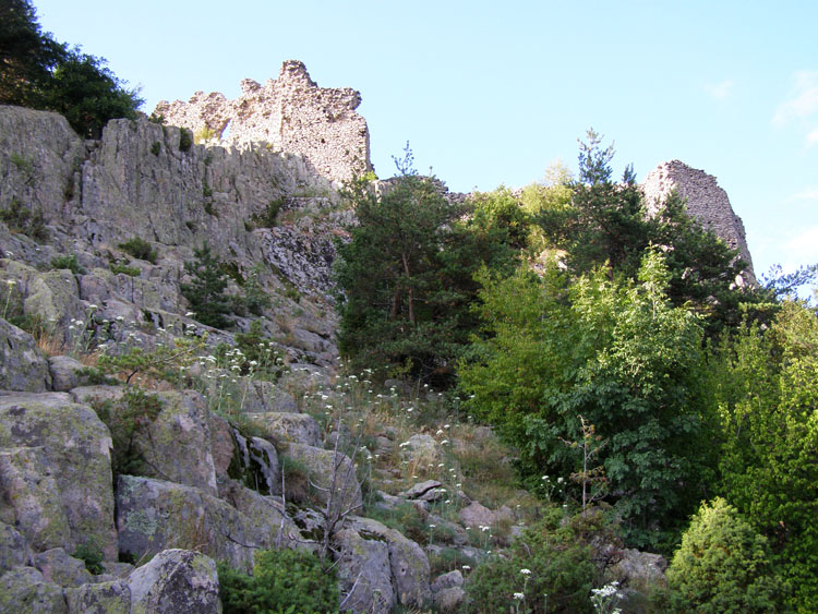 P7260045