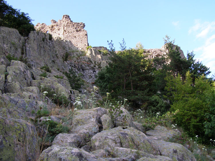 P7260046