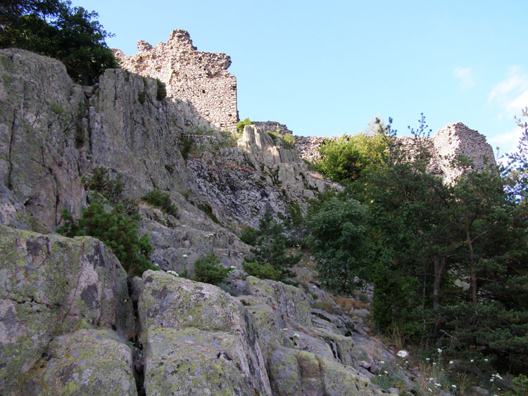 P7260047