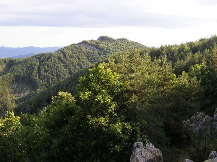 P7260048