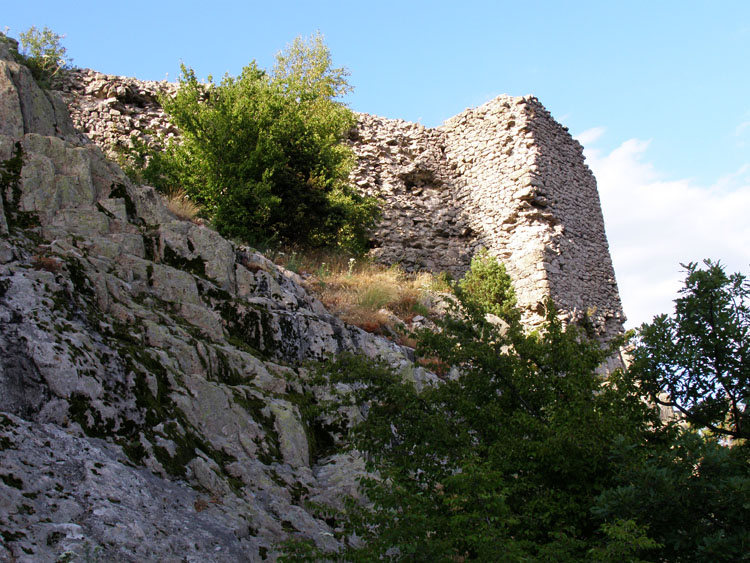 P7260051