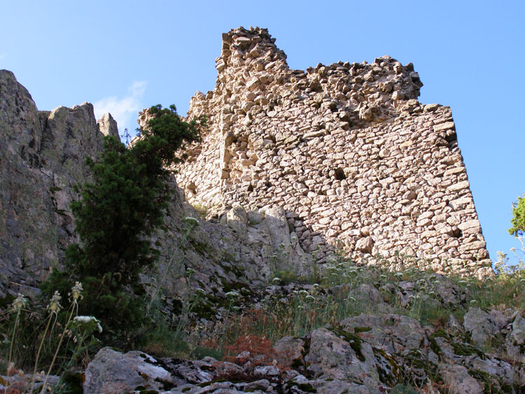 P7260052