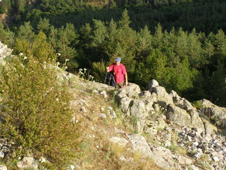 P7260058