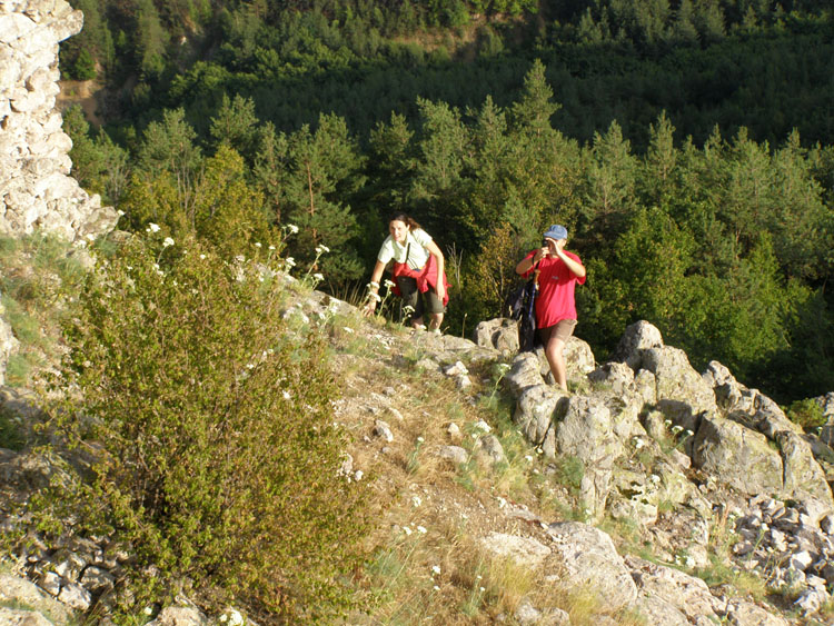 P7260059