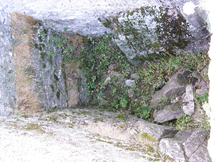 P7260069