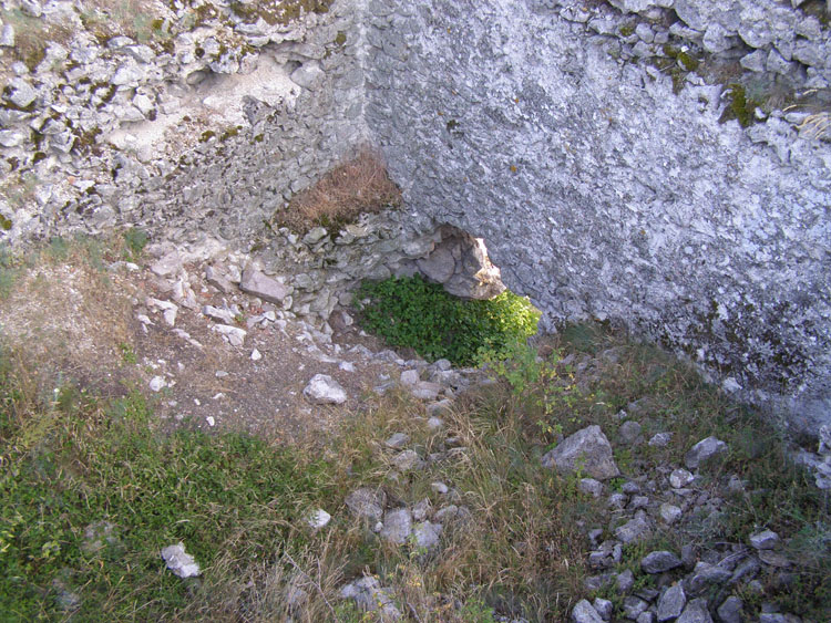 P7260070