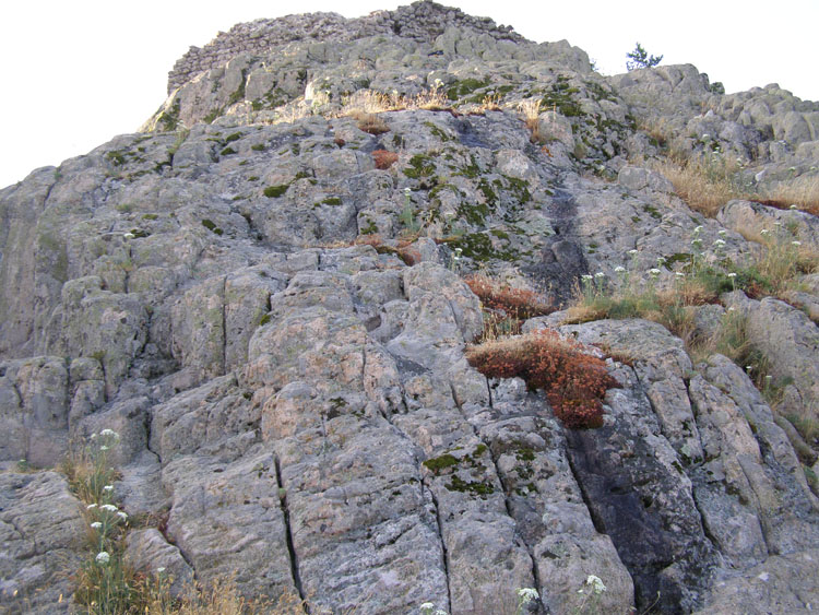 P7260071