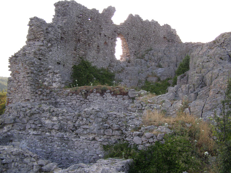 P7260077