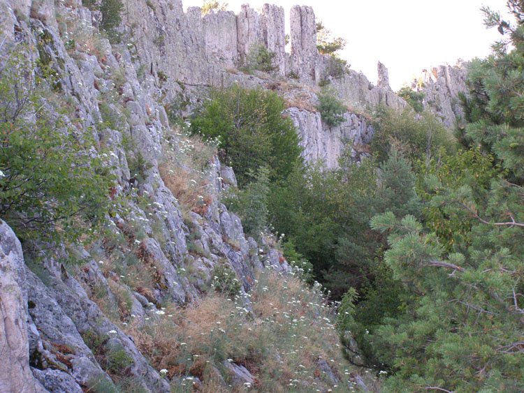 P7260080