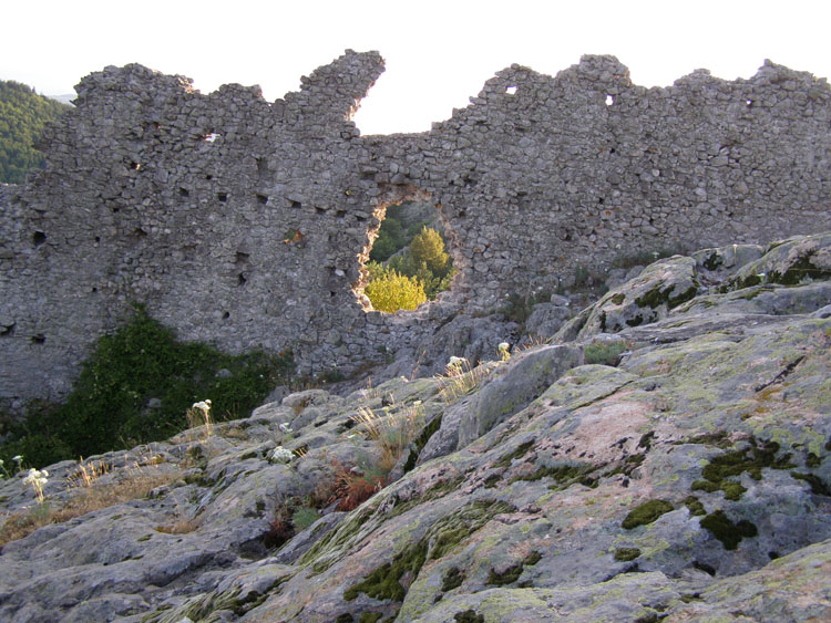 P7260086