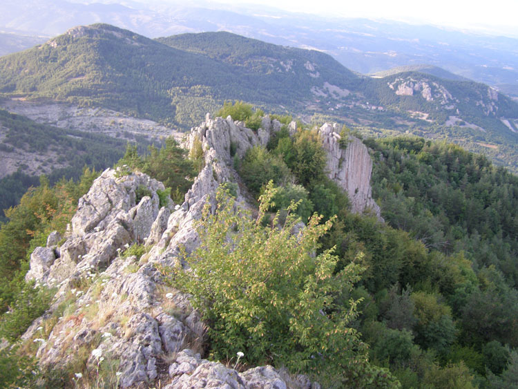 P7260093