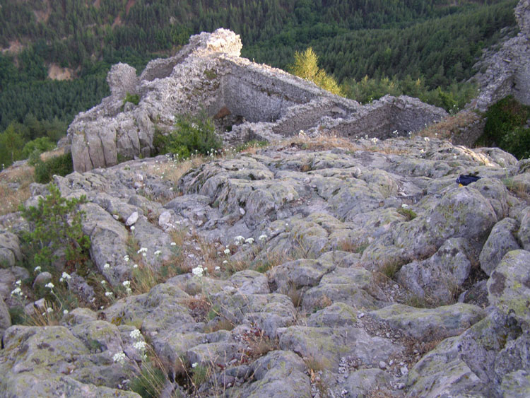 P7260094