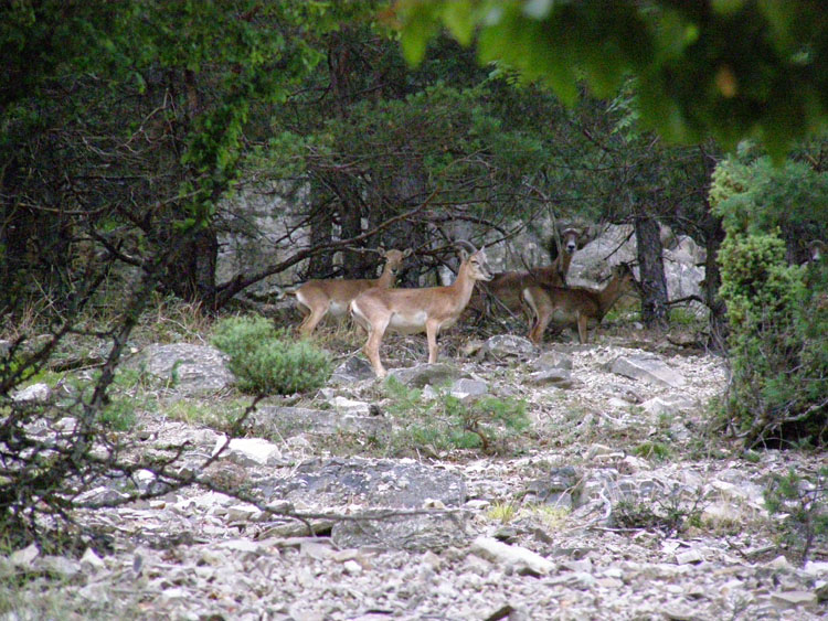 P7270108