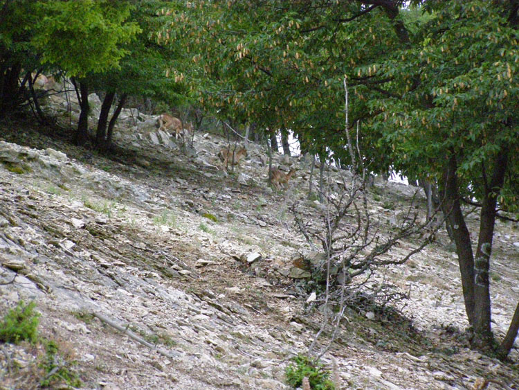 P7270113