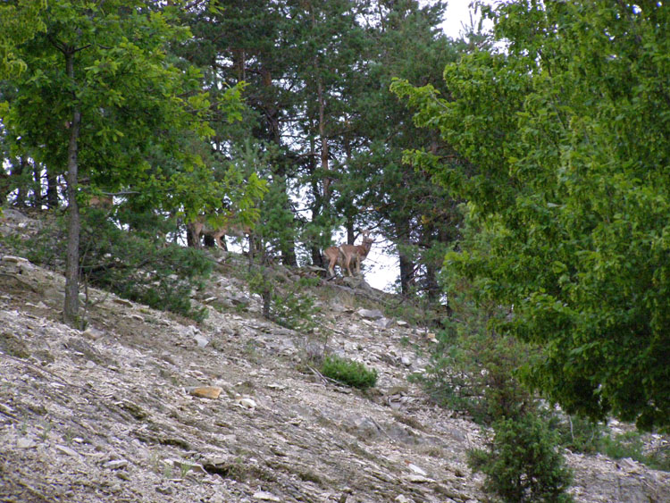 P7270114