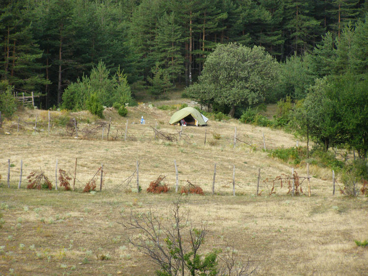 P7270117