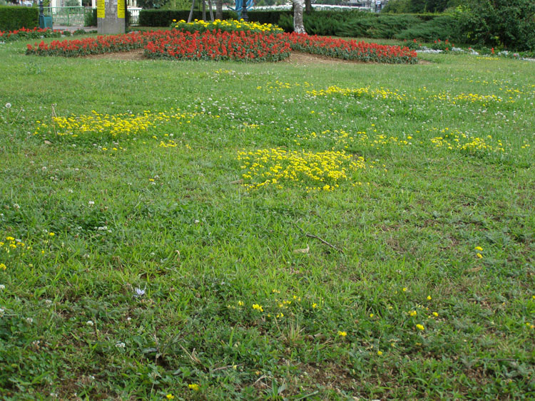 P7270143