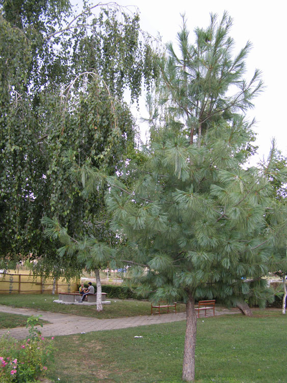 P7270144