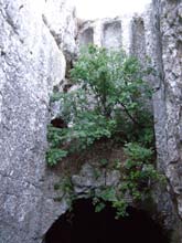 P7240702