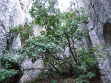 P7240703