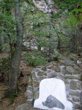 P7250034