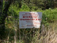 P7260001