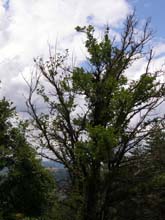 P7260004