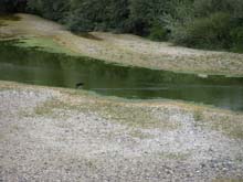 P7260005