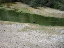 P7260006