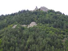 P7260010