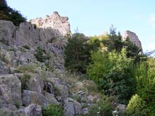 P7260045