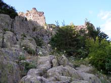P7260046